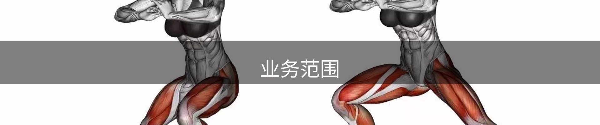 业务范围