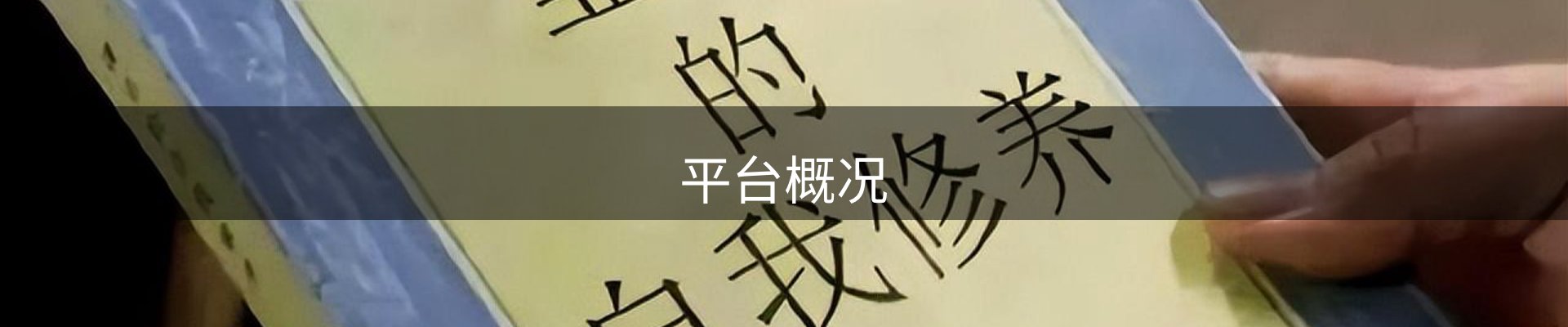 平台概况